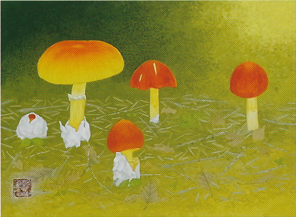 髙山知也展